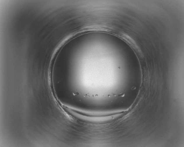 X0000071831188200606301311