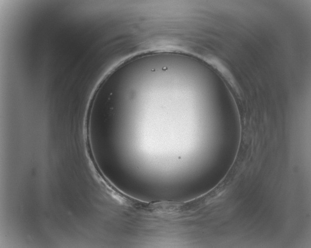 X0000071831191200606301311