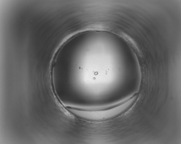 X0000071831192200606301311