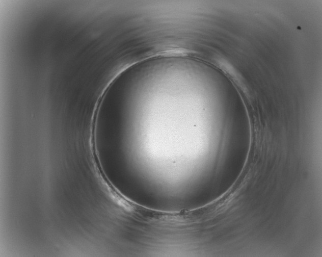 X0000071831194200606301311