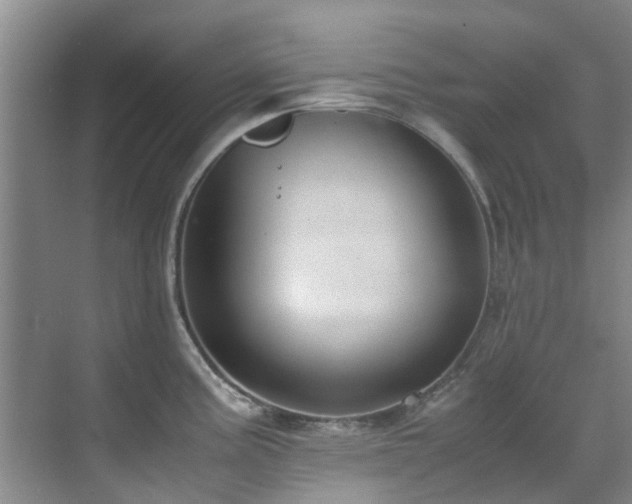 X0000071831195200606301311