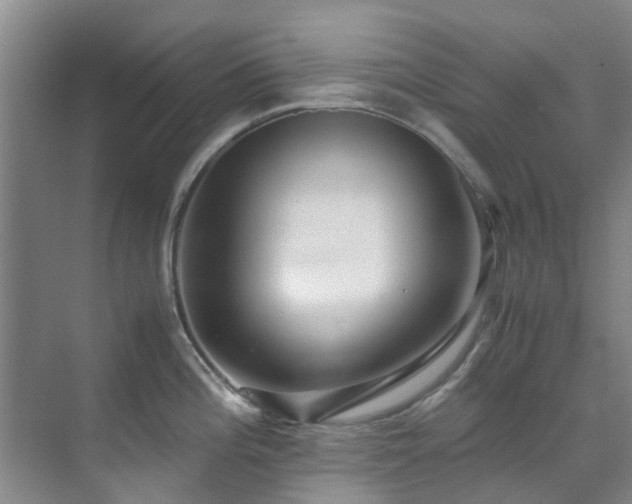 X0000071831196200606301311