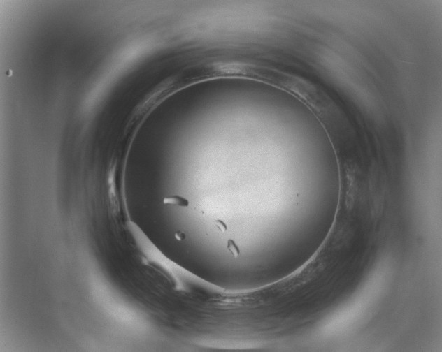 X0000071831198200606301310