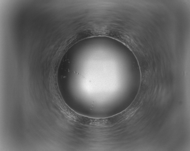 X0000071831201200606301310