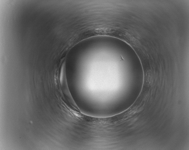 X0000071831202200606301310