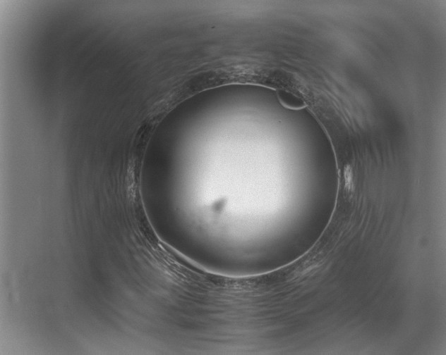 X0000071831203200606301310