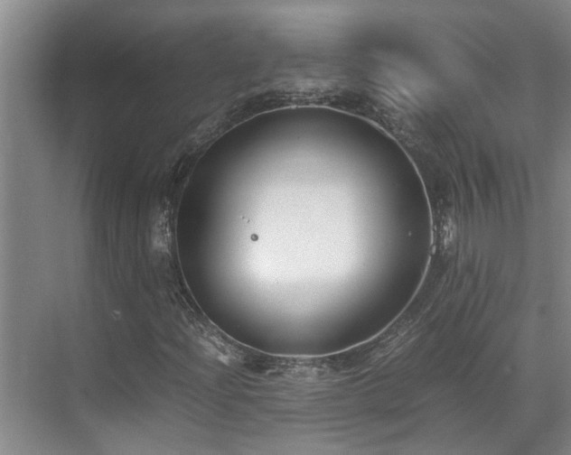 X0000071831204200606301310