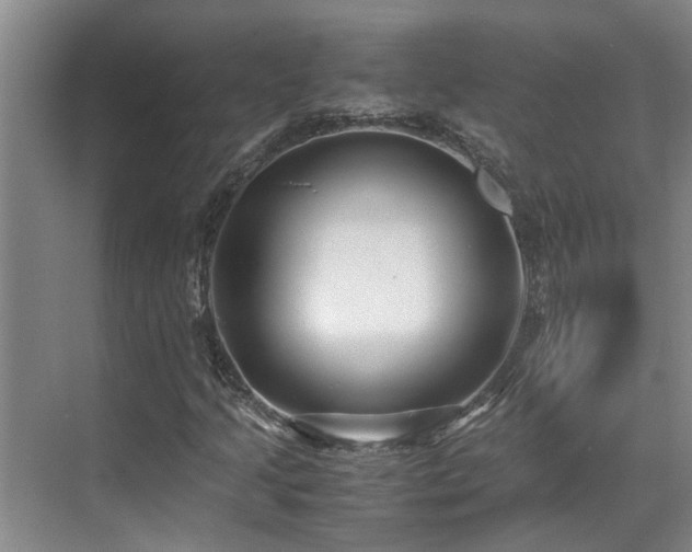 X0000071831205200606301310