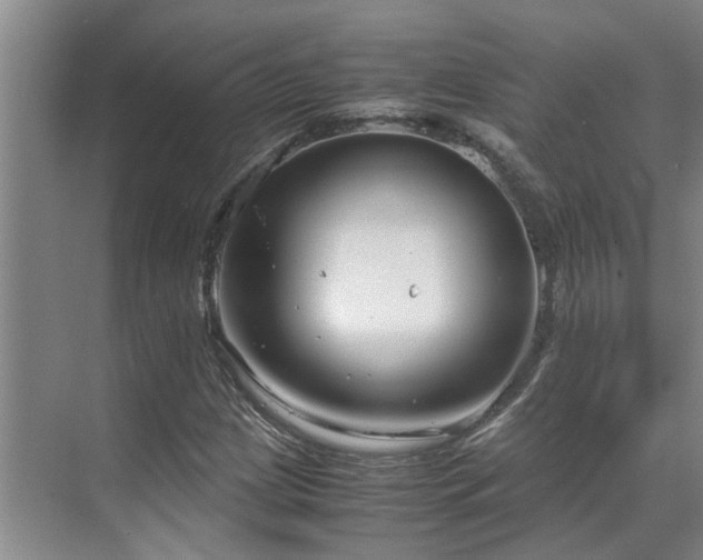 X0000071831209200606301310