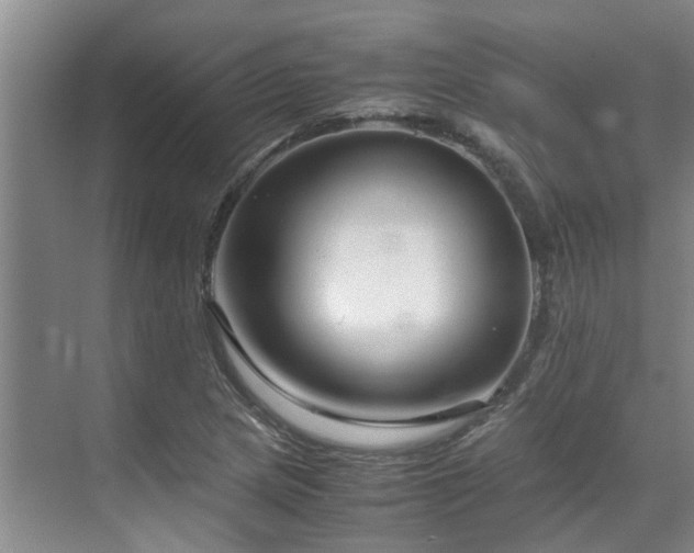 X0000071831217200606301310