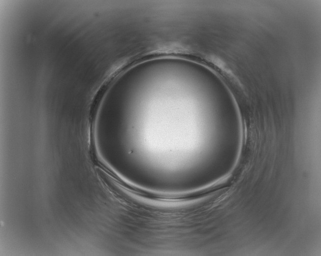 X0000071831221200606301310