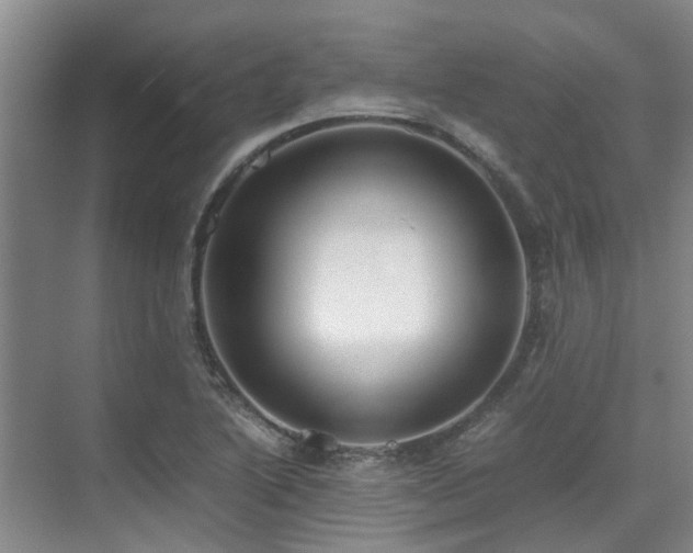 X0000071831222200606301310