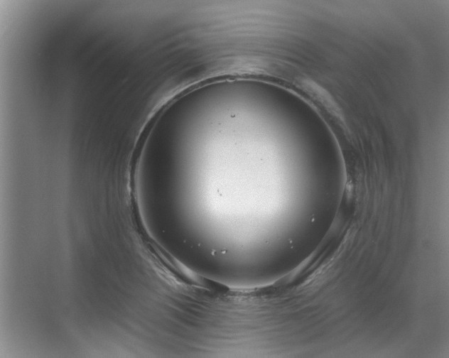 X0000071831226200606301310