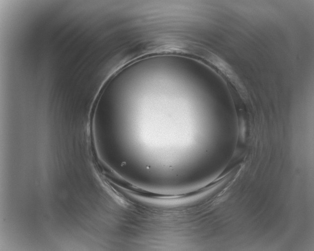 X0000071831234200606301310