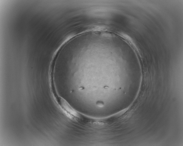 X0000071831235200606301310