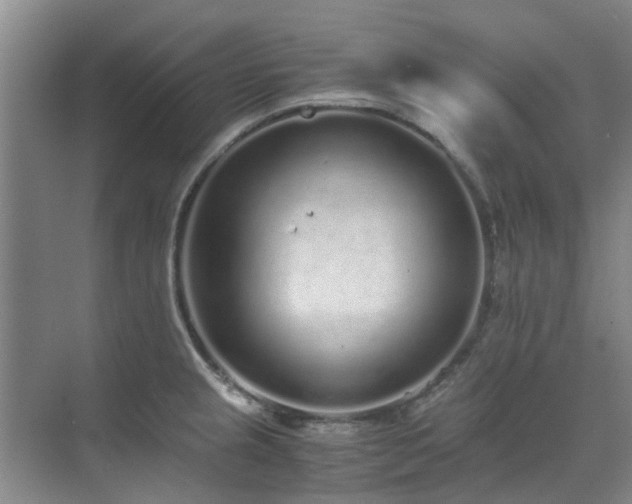 X0000071831237200606301310