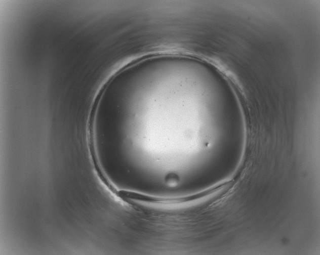 X0000071831239200606301310