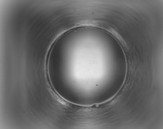 X0000071831240200606301310