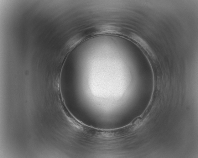 X0000071831241200606301310