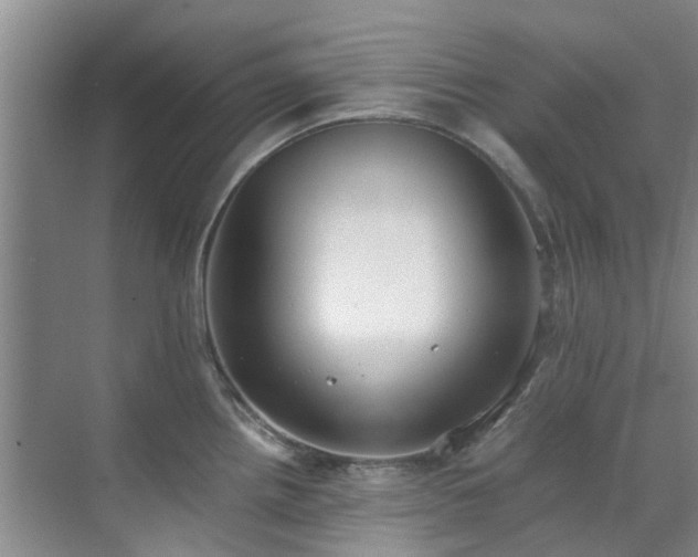 X0000071831242200606301310