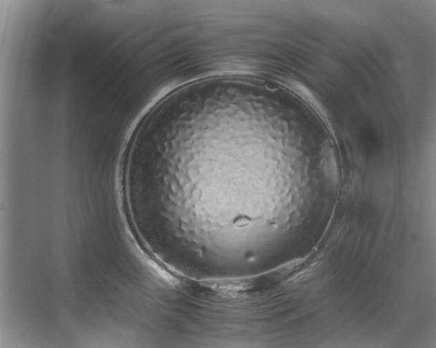 X0000071831243200606301310