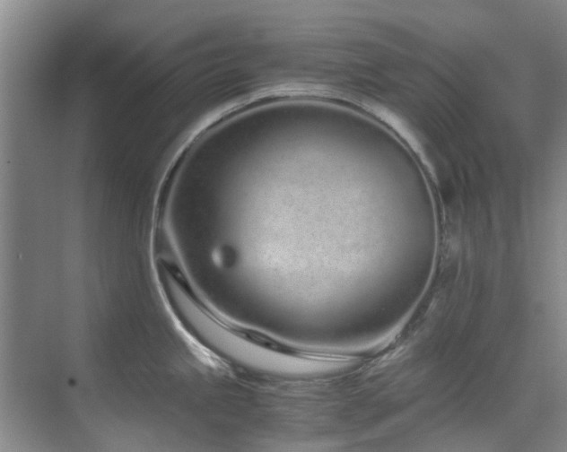 X0000071831245200606301310