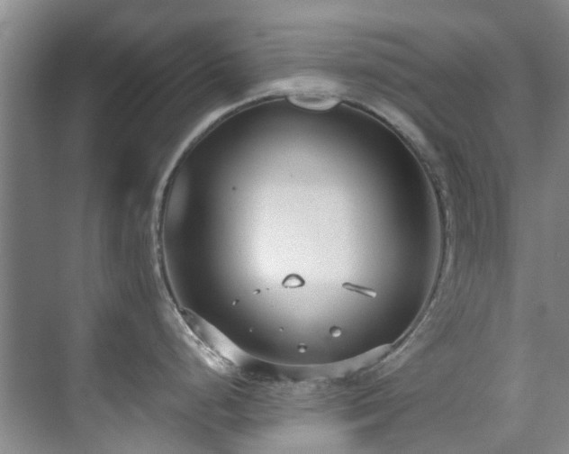 X0000071831248200606301310