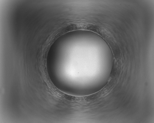 X0000071831249200606301310