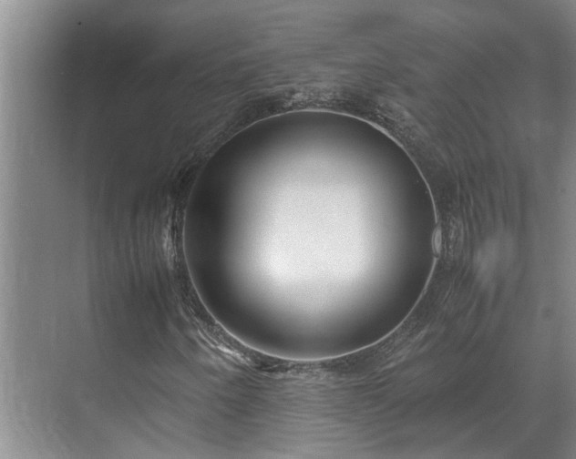 X0000071831250200606301310