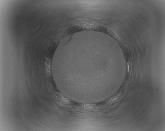 X0000071831251200606301310