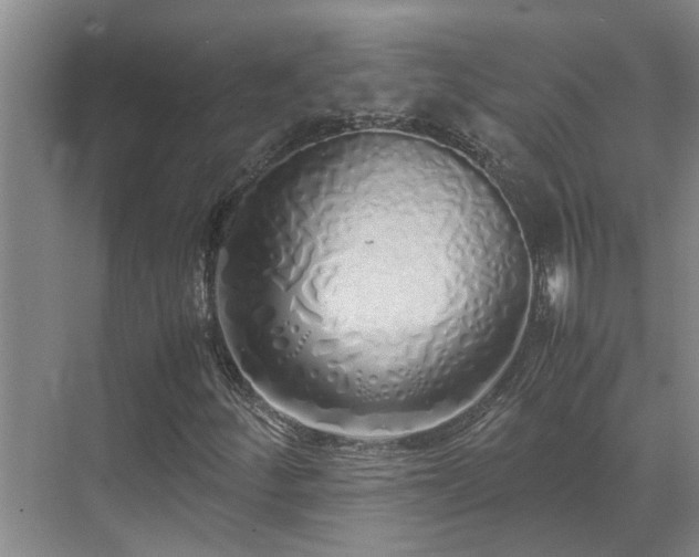 X0000071831252200606301310