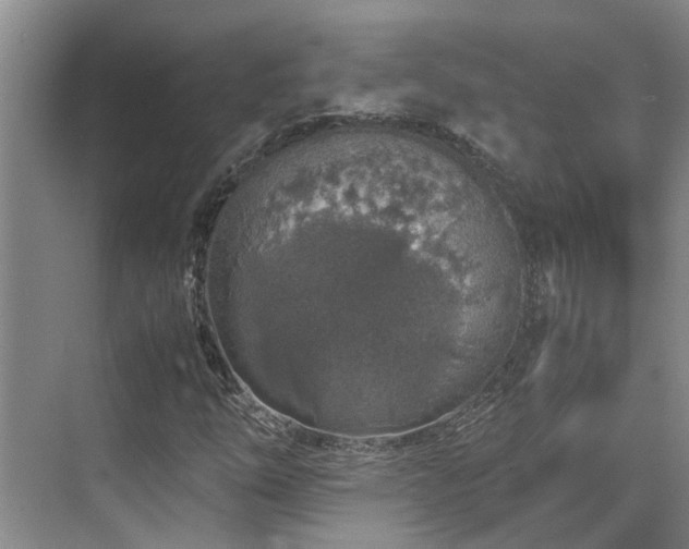 X0000071831254200606301310