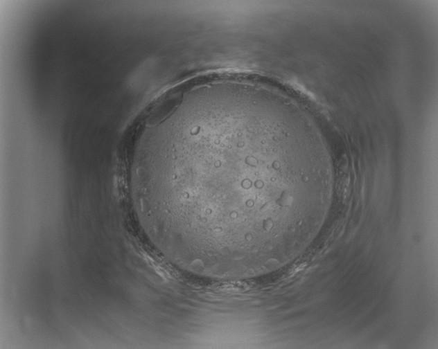 X0000071831255200606301310