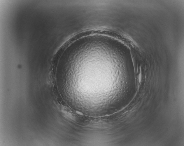 X0000071831256200606301309