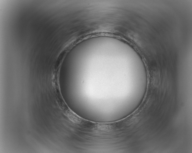 X0000071831258200606301309