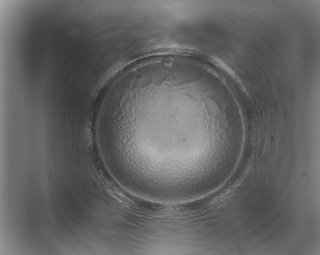 X0000071831259200606301309