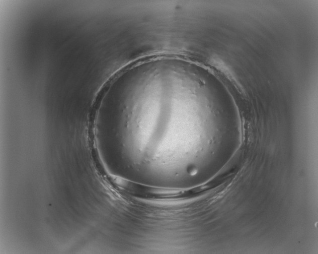 X0000071831260200606301309