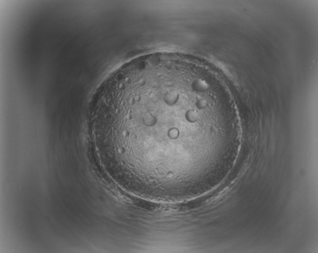 X0000071831263200606301309