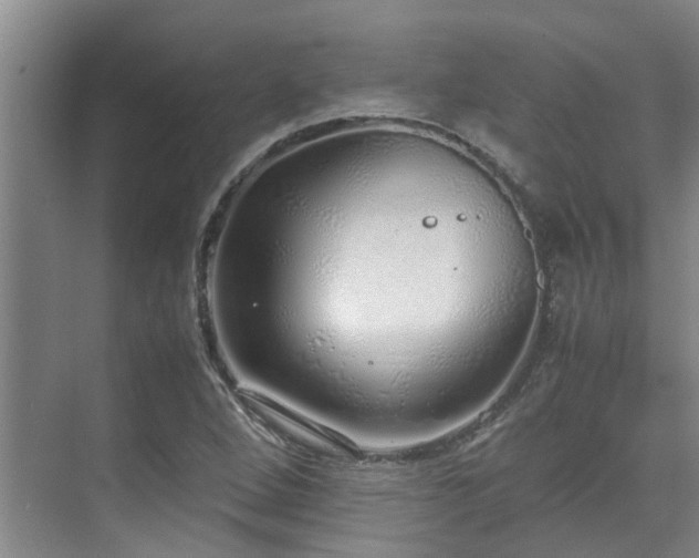 X0000071831264200606301309