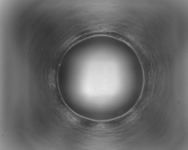 X0000071831265200606301309