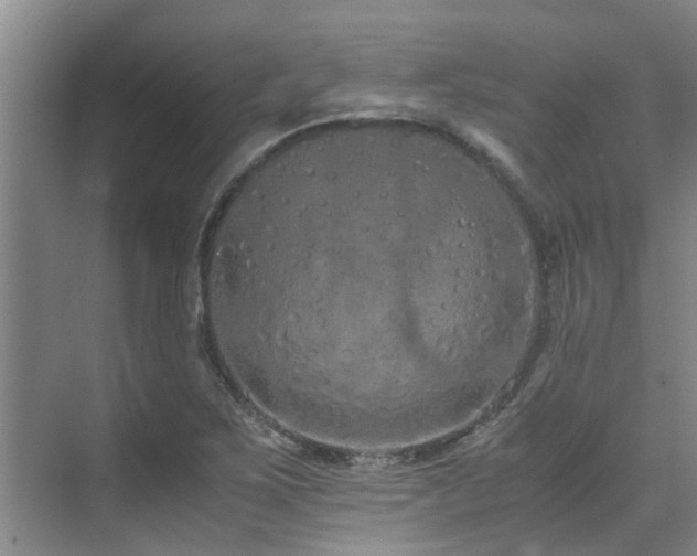 X0000071831267200606301309