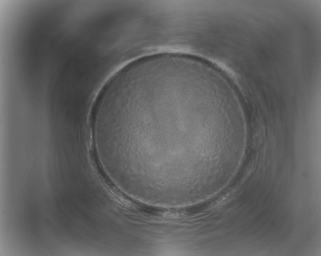 X0000071831271200606301309