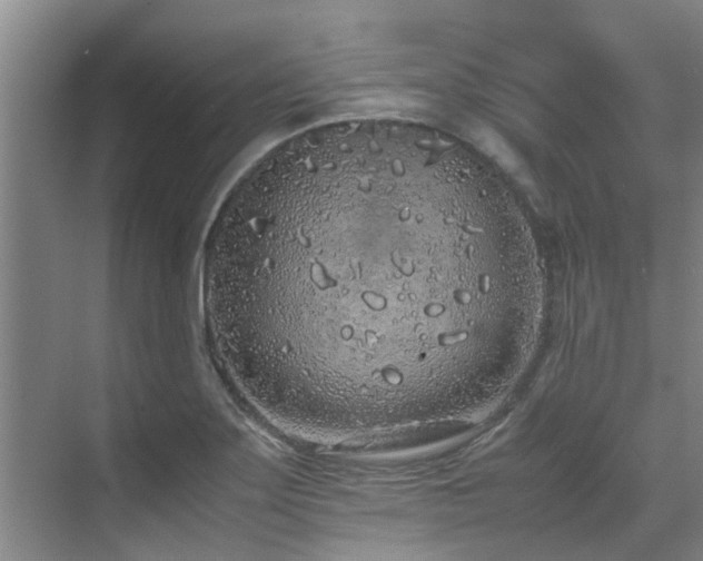 X0000071831275200606301309