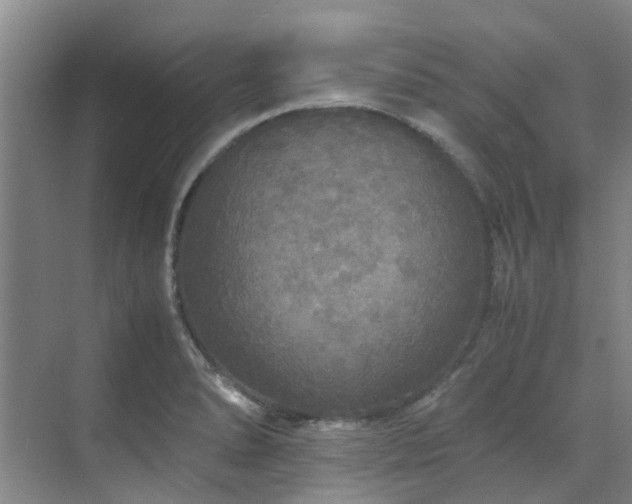 X0000071831278200606301309