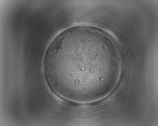 X0000071831279200606301309