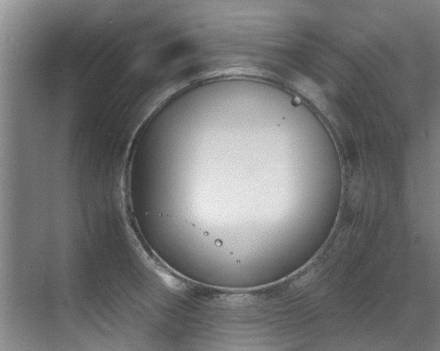 X0000071831282200606301309