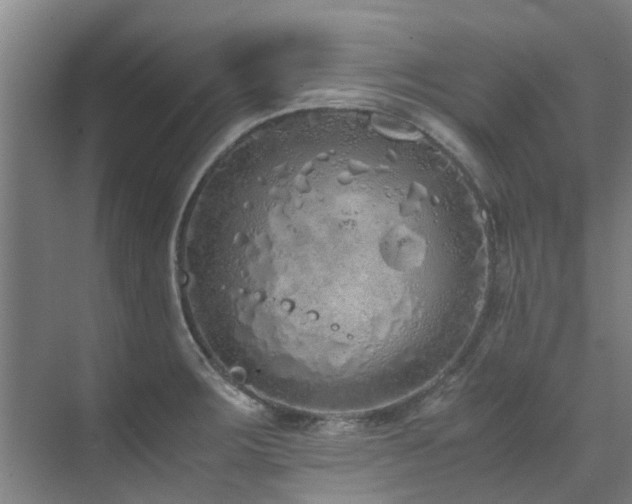 X0000071831283200606301309