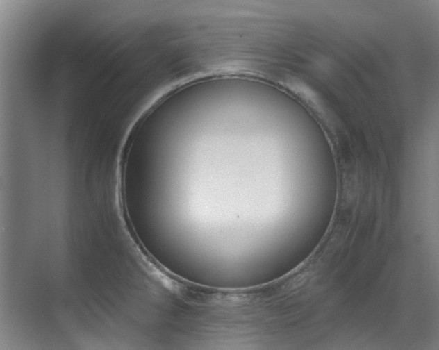 X0000071831286200606301309