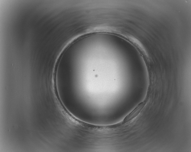 X0000071831288200606301309