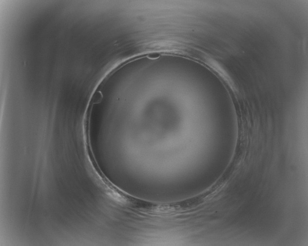 X0000071831291200606301309